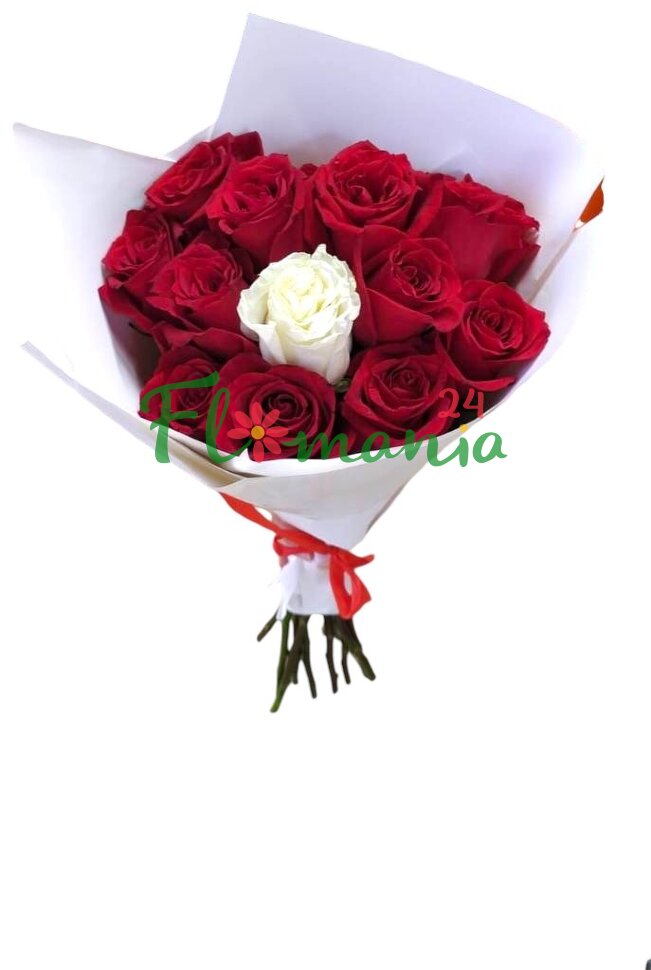 Лев и Роза